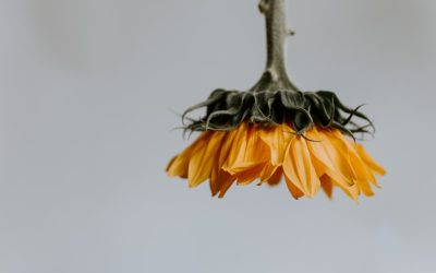 Photo Floral Floor Lamp