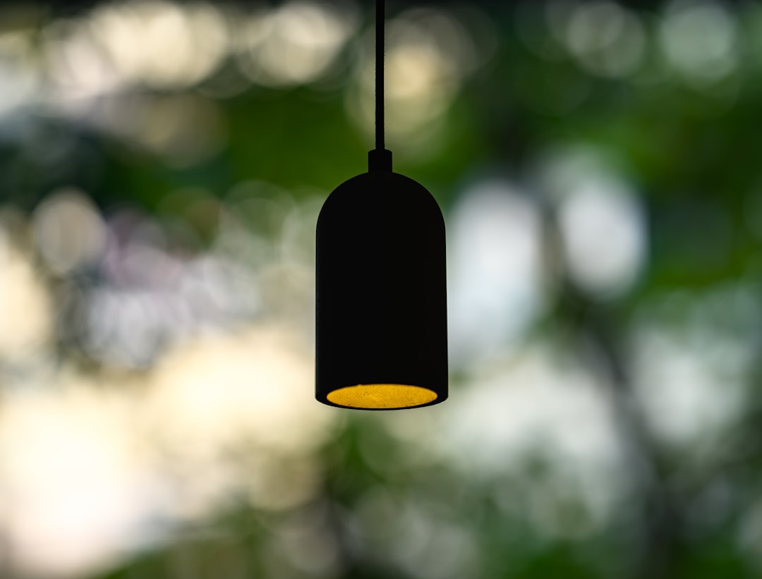 Photo cork pendant light